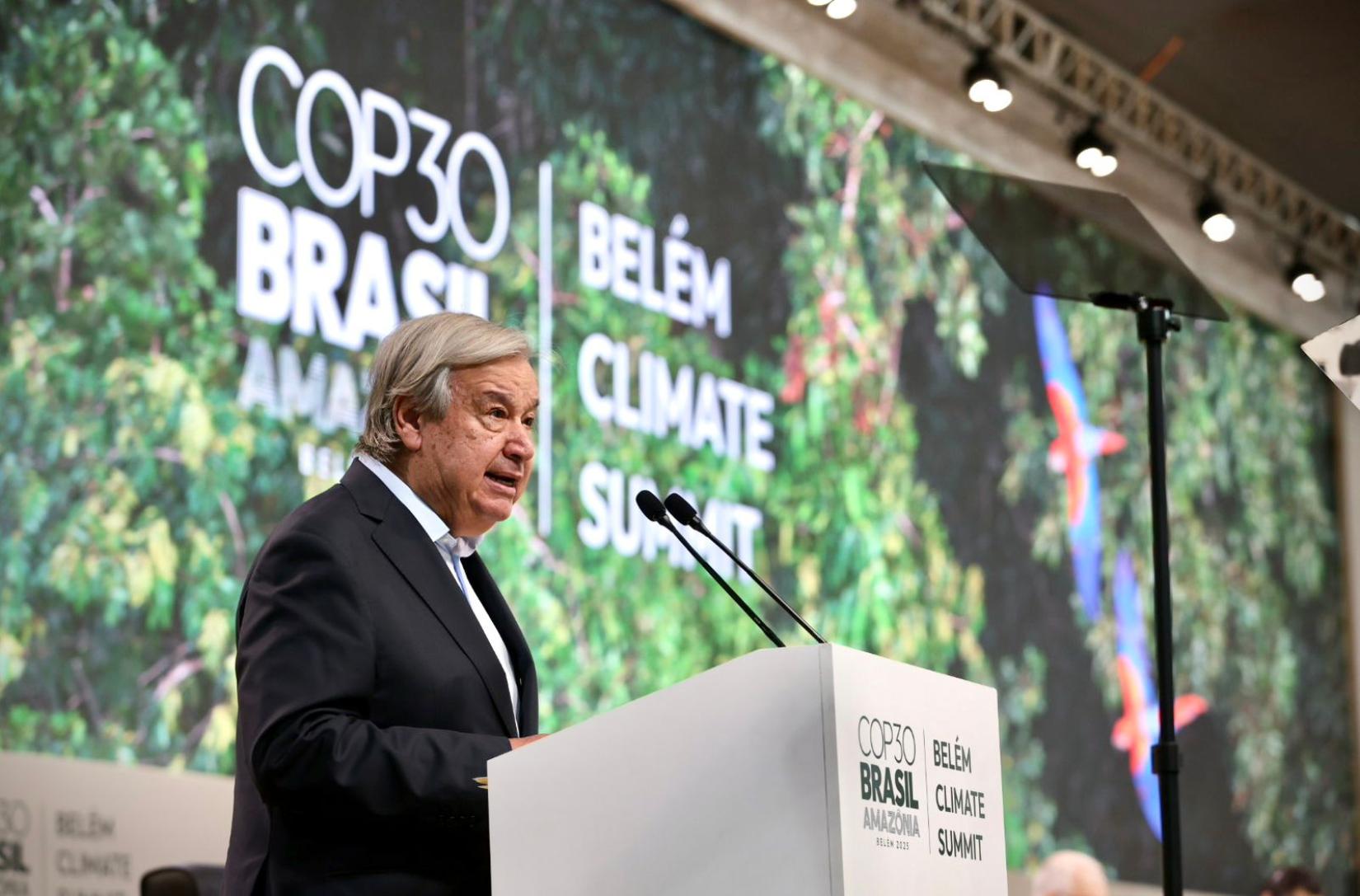 COP30 no Brasil | As Nações Unidas no Brasil